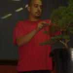 Asociación-de-Bonsai-“El-Pinsapo”-Jerez-de-la-Frontera-Cádiz.-150x150
