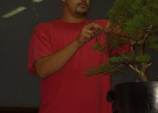 Asociación-de-Bonsai-“El-Pinsapo”-Jerez-de-la-Frontera-Cádiz.-225x300
