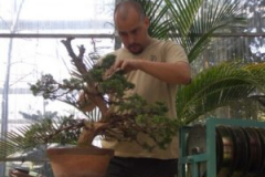Rivera-Garden-Chipiona.-300x225