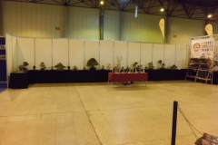 Mangafest36
