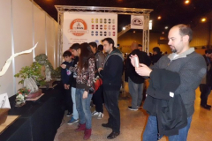 Mangafest42