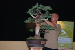 Asociación-de-Bonsai-“Chaparro”-Algeciras.2