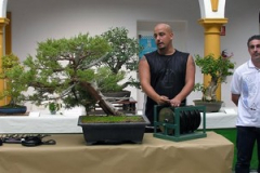Asociación-de-Bonsai-“Chaparro”-Algeciras.3