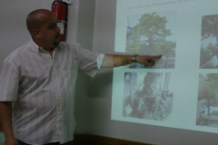 Bonsai-en-el-Trópico-Puerto-Rico.2