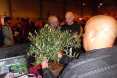 Mangafest-Sevilla-2.013.