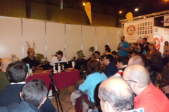 Mangafest-Sevilla-emitida-en-directo-al-mundo-entero.