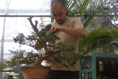 Rivera-Garden-Chipiona.