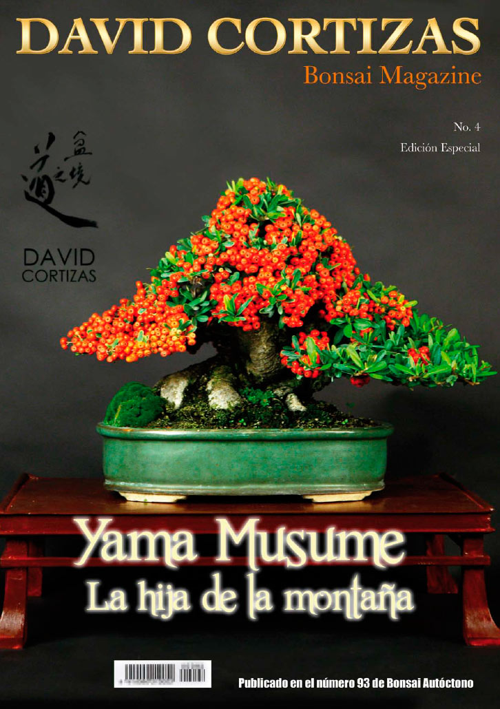 yama musume, piracanta bonsai