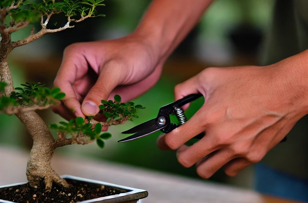 El delicado trabajo de podar un bonsái, donde la paciencia y el cuidado juegan un papel crucial en el refinamiento del árbol.