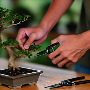 El delicado trabajo de podar un bonsái, donde la paciencia y el cuidado juegan un papel crucial en el refinamiento del árbol.